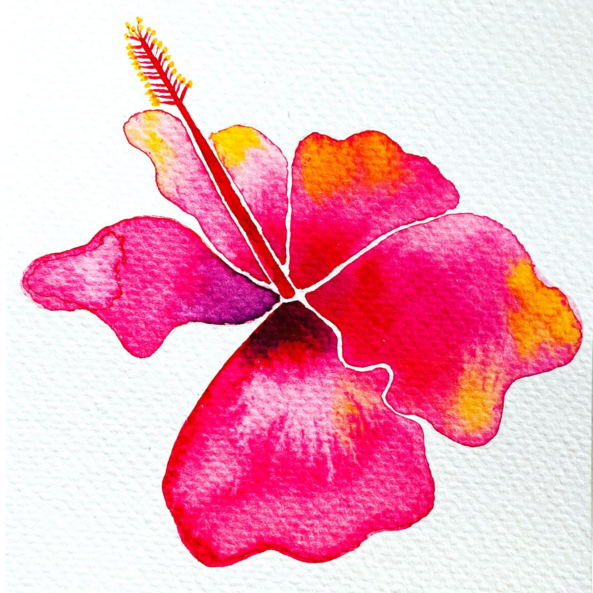 Vivid pink hibiscus watercolor painting