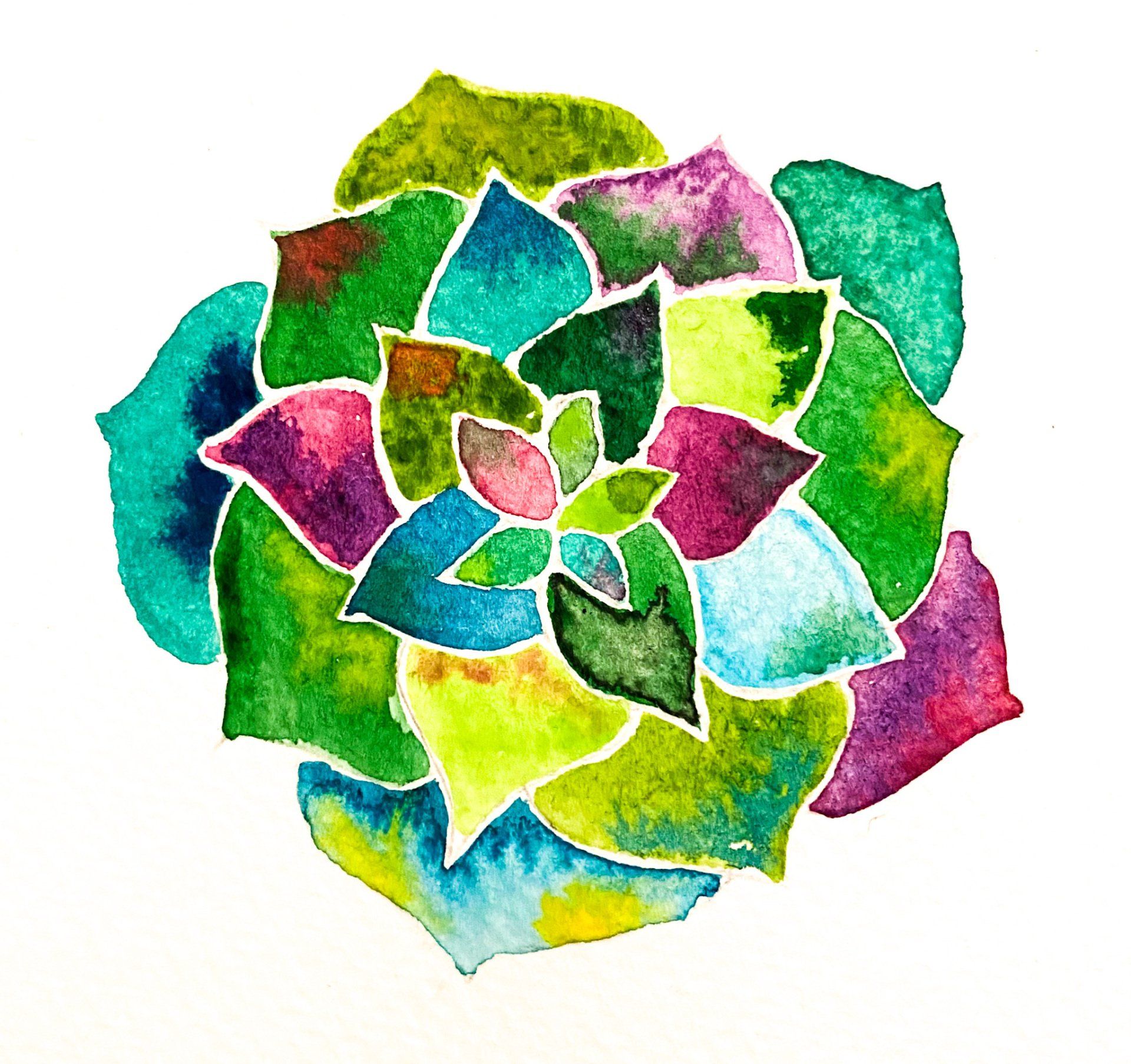 Multicolor succulent watercolor painting