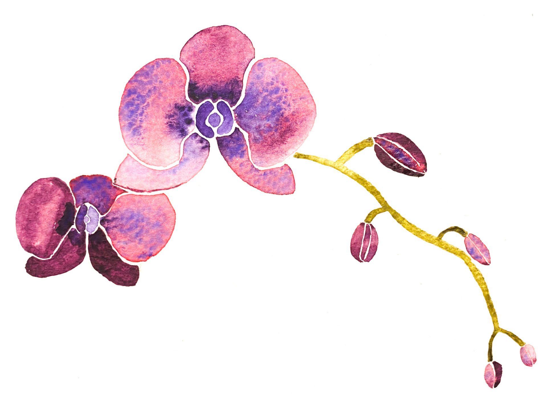 Purple orchid watercolor painting