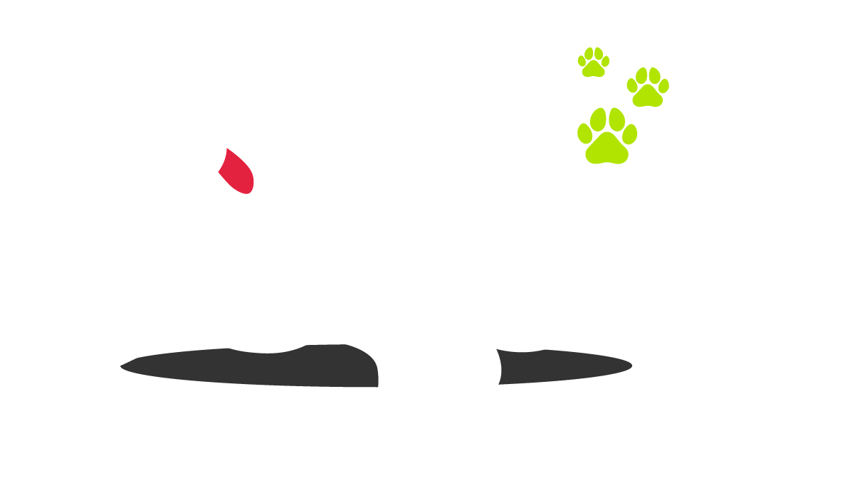 Rub My Belly Dog Care - Fort Worth, TX