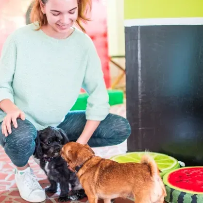 A woman is kneeling down next to two dogs