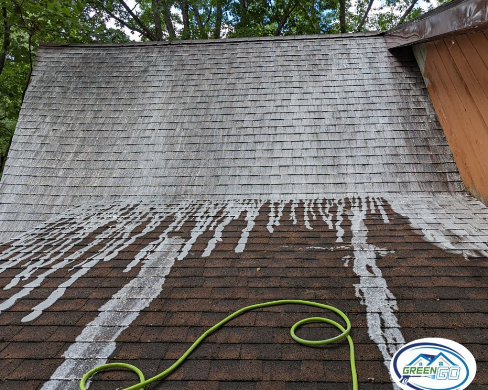 A roof shows visible algae streaks, with partially cleaned sections. A green hose lies in the foreground.