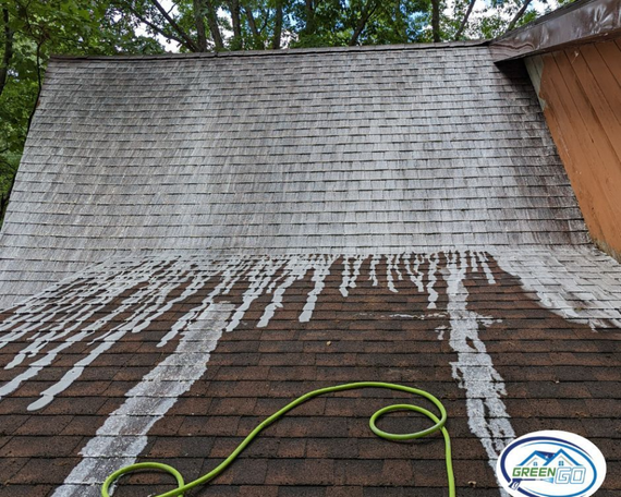 A roof shows visible algae streaks, with partially cleaned sections. A green hose lies in the foreground.