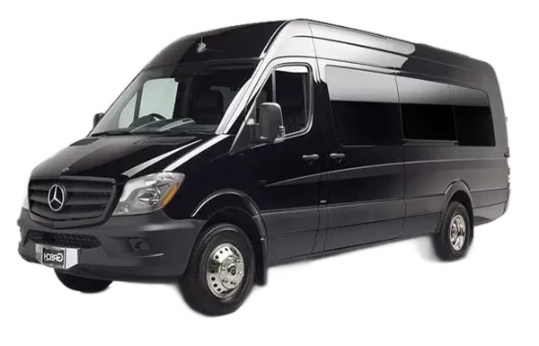 Black Mercedes-Benz Sprinter van, parked against a light gray background.