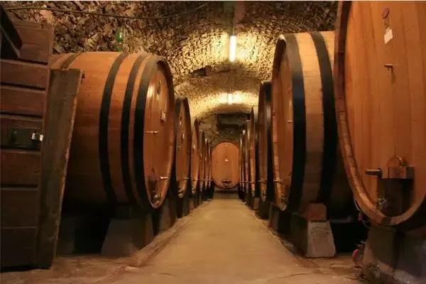 Wine barrels in a stone-walled cellar, lined up on each side of a narrow path.
