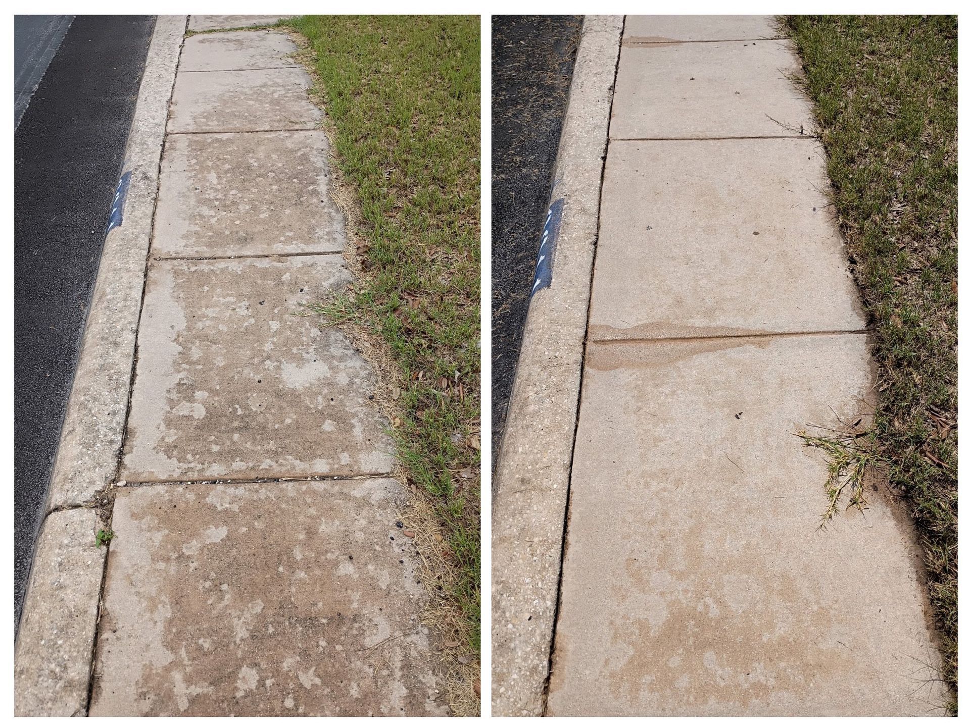 Side-by-side comparison of a concrete sidewalk showing before and after professional power washing.