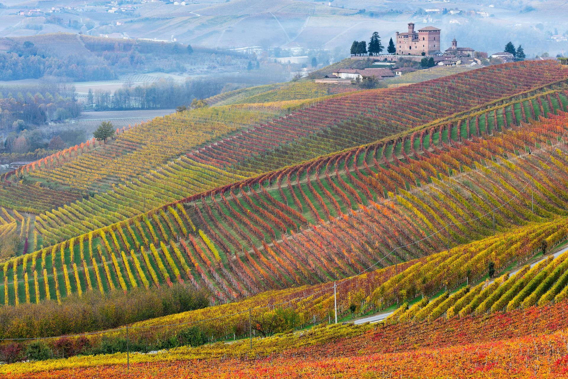  Langhe, Roero and Monferrato view