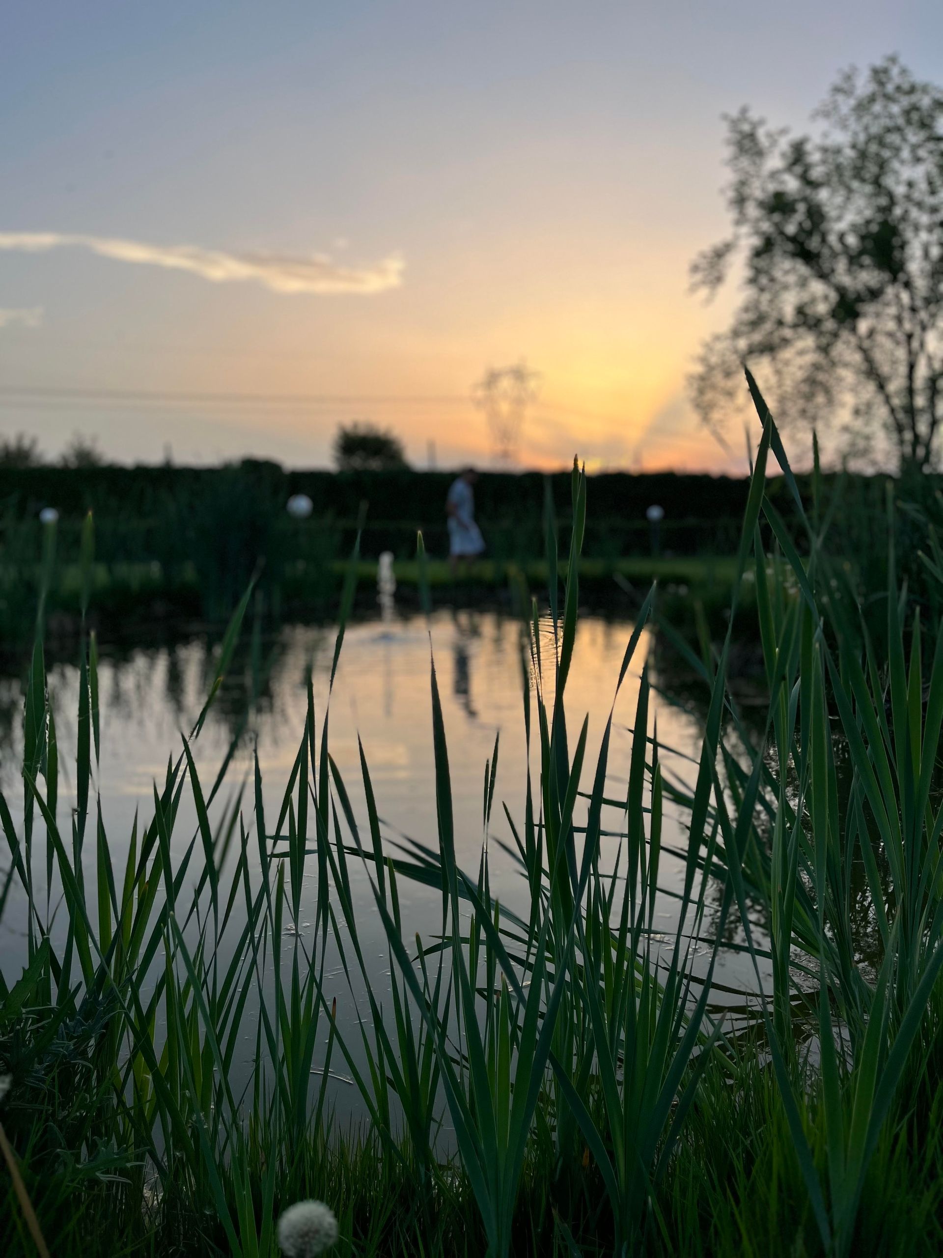 Albergo Cosmera come arrivare