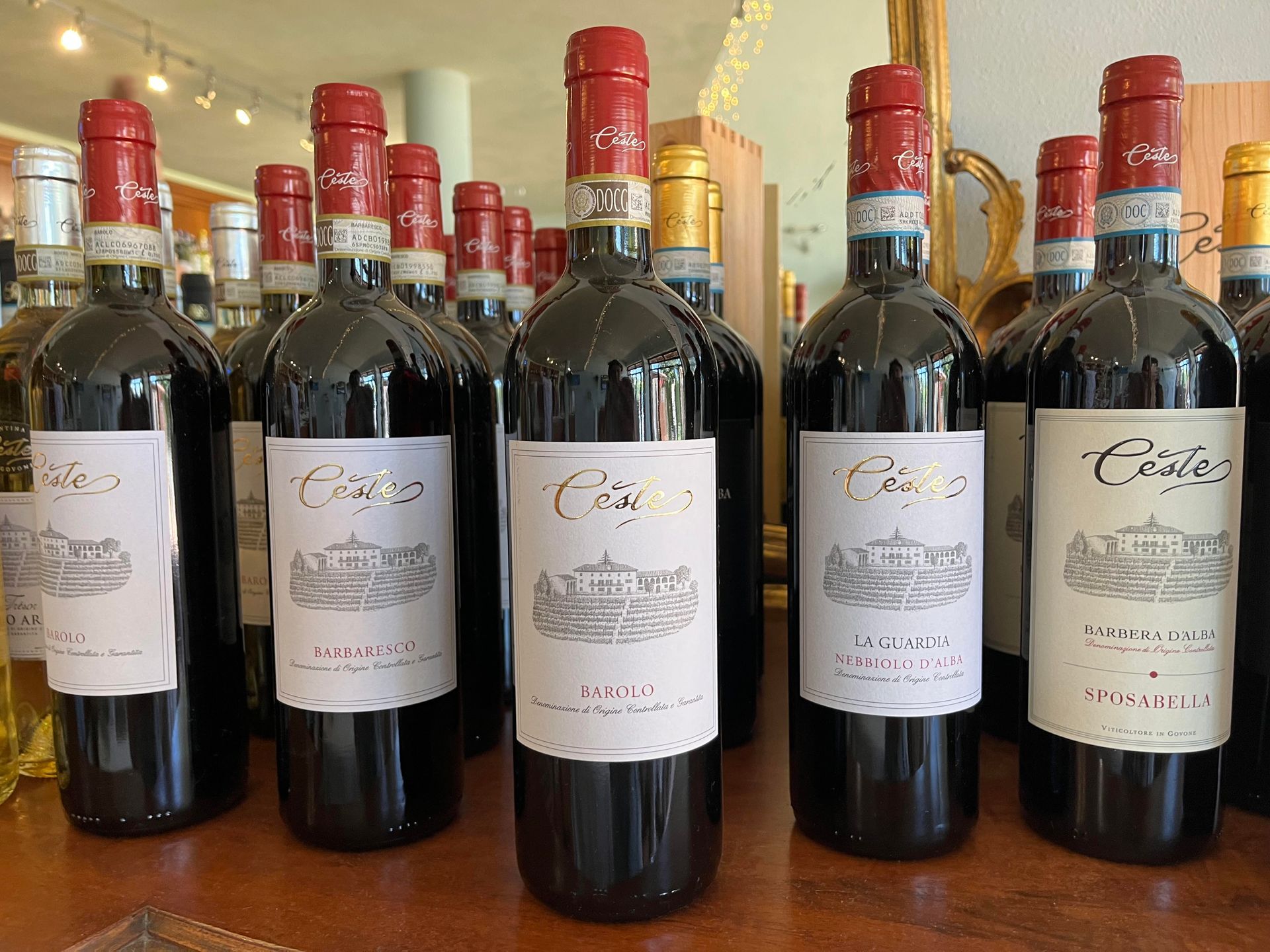 wine hills and wine of the Langhe and Roero