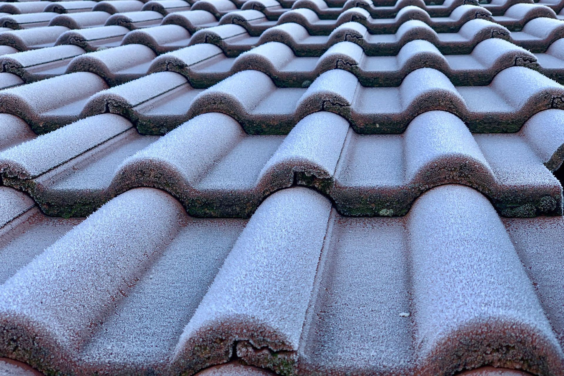 Why Is My Brand New Tile Roof Leaking? 5 Answers from a Roofer