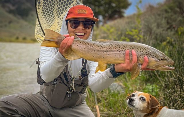 g loomis bream rods G-Loomis NRX+ Inshore Saltwater Casting Rod by Sportsman's Warehouse