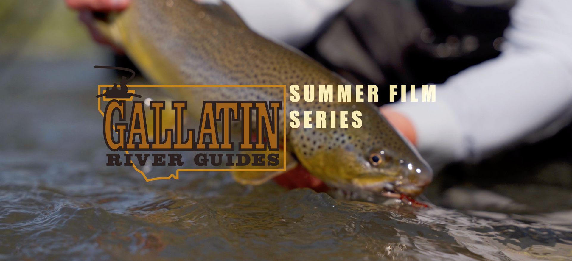 Thumbnail for youtube video of fisherman holding large brown trout