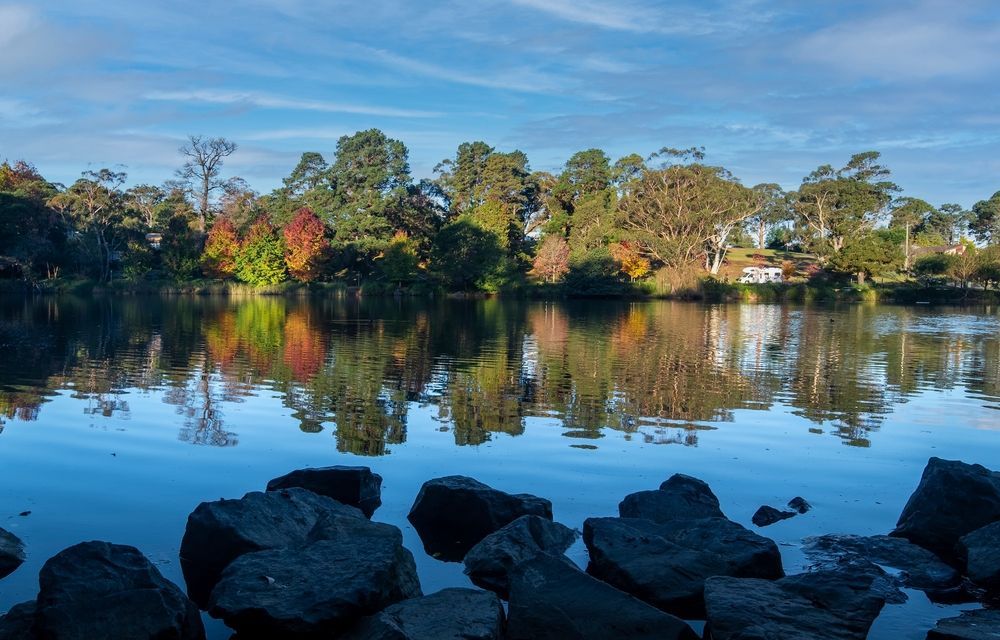 Lake Surrounded By Trees And Rocks On A Sunny Day — Goulburn Solar In Mittagong, NSW