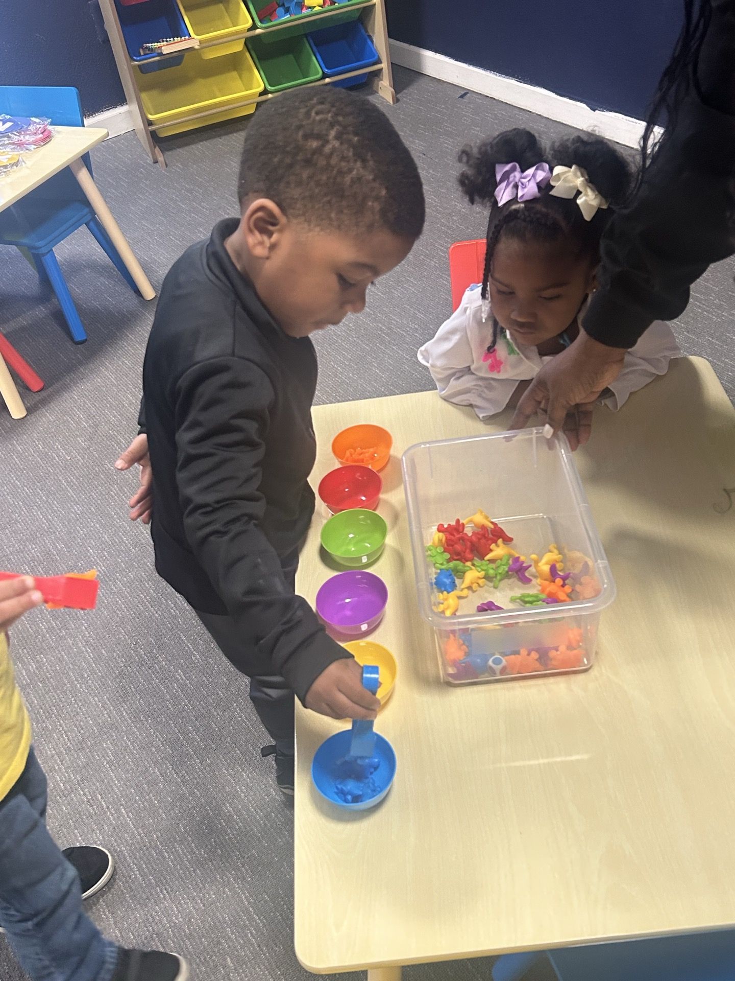 School Transportation