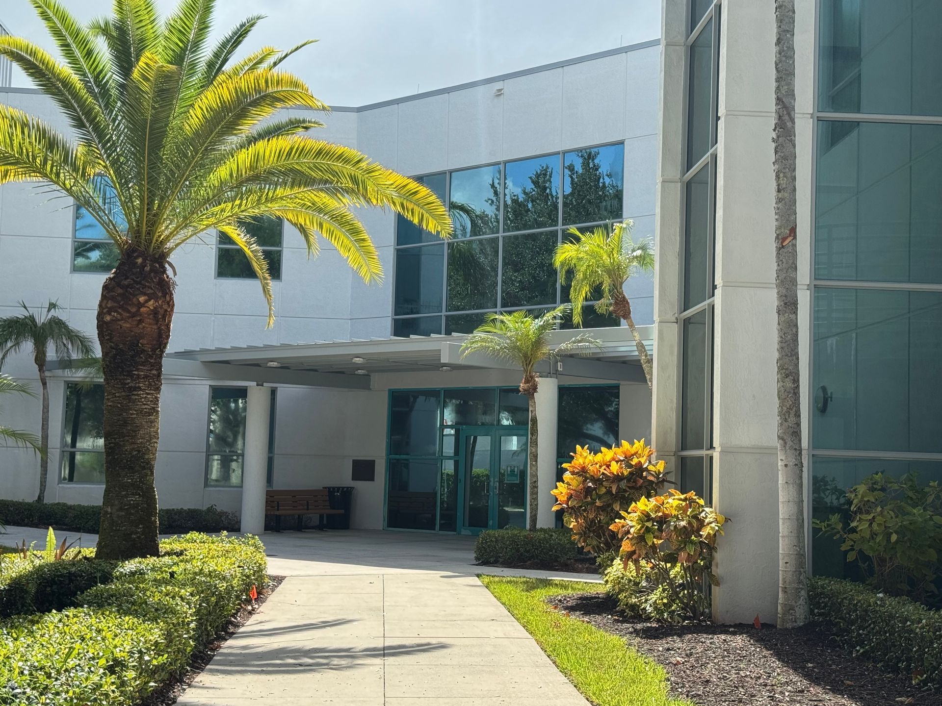 Exterior view of a light-colored modern building with palm trees and landscaping, entrance with glass doors.