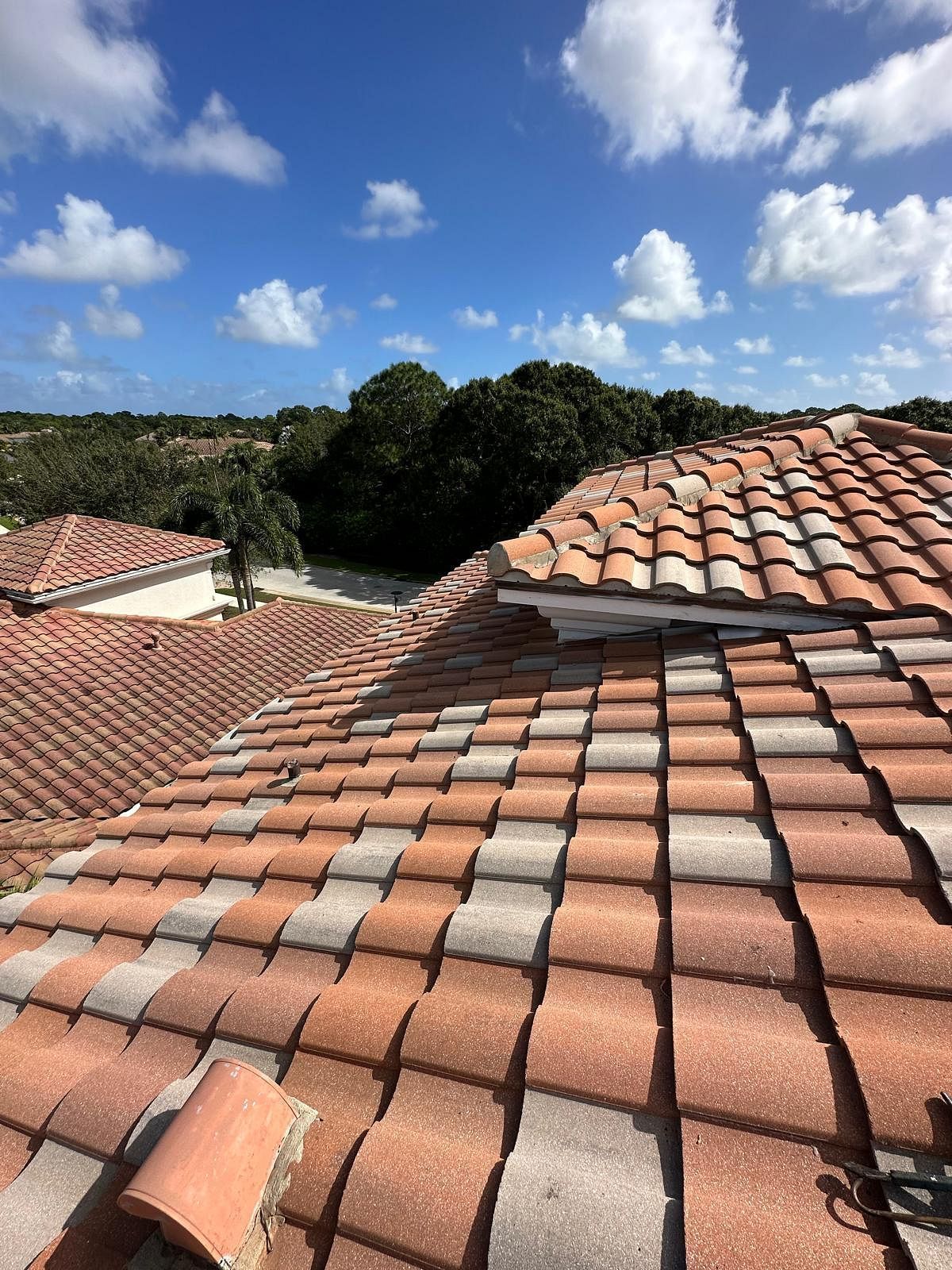 Terracotta tile roof on a sunny day with blue sky and trees in the background.
