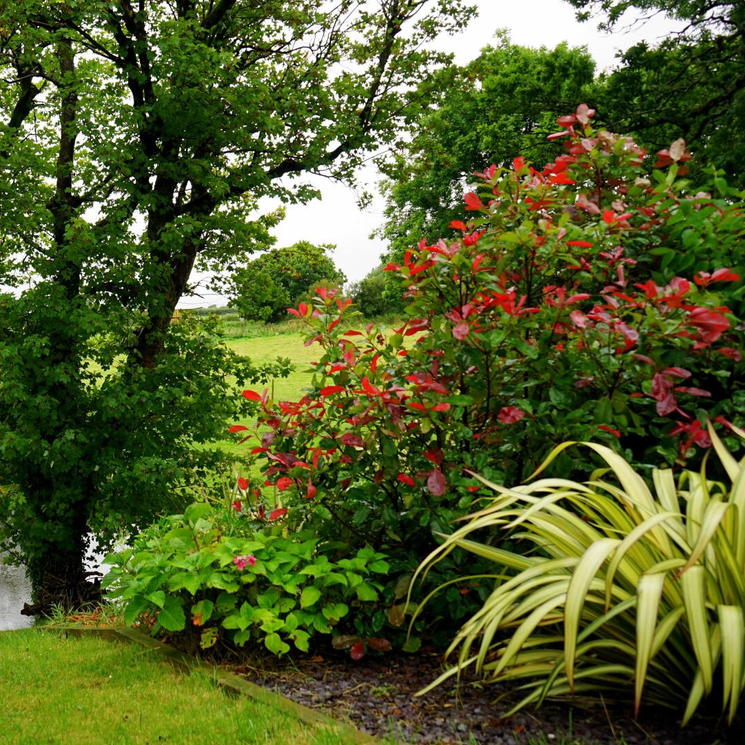 Photo by Mike from Pexels