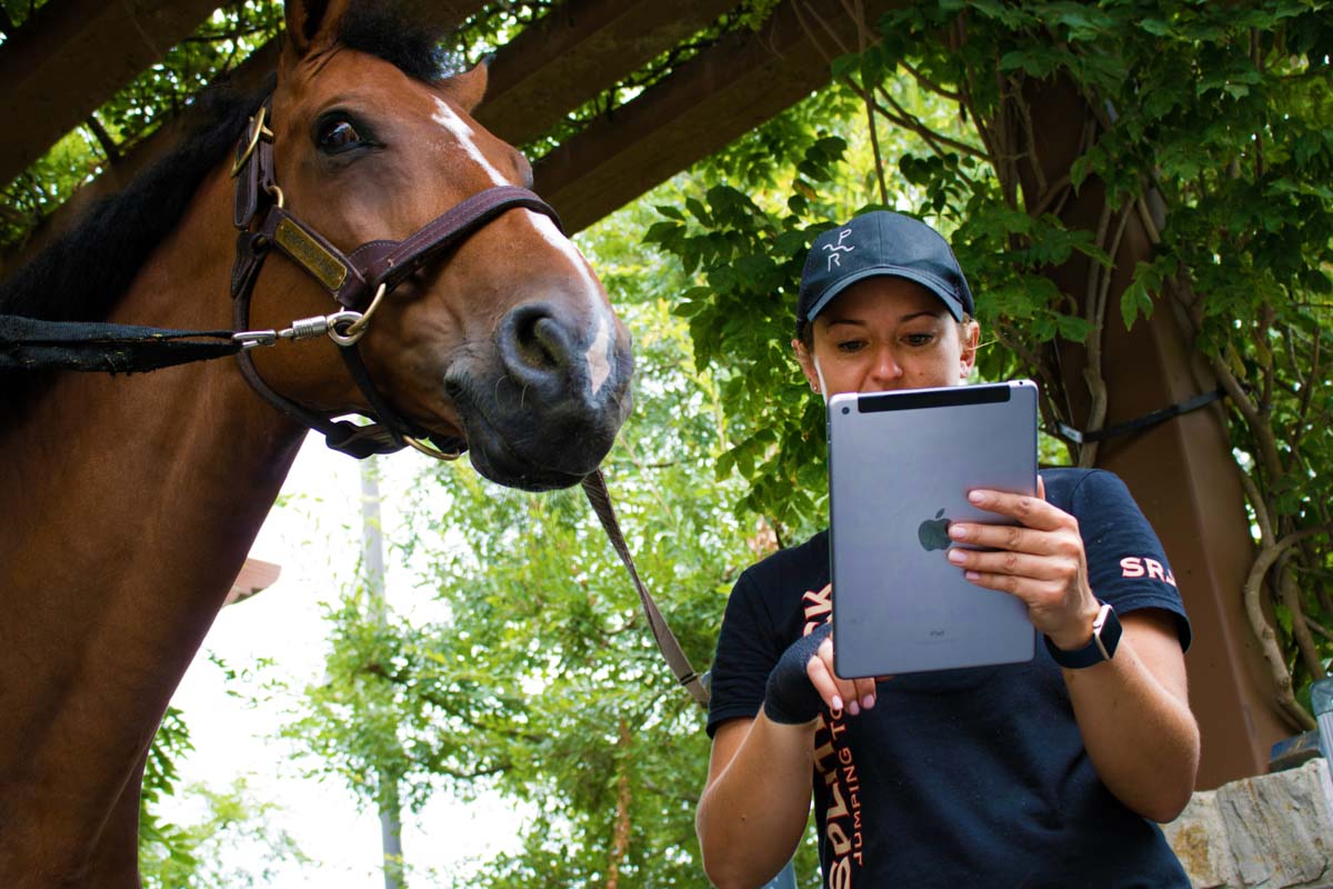 electronic vet for horse vetrinarians