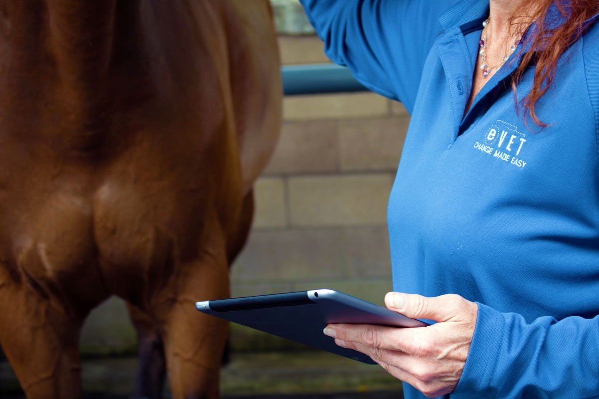 electronic vet for horse owners