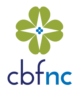 A green four-leaf clover icon with a small blue cross, above the dark blue and light blue text 