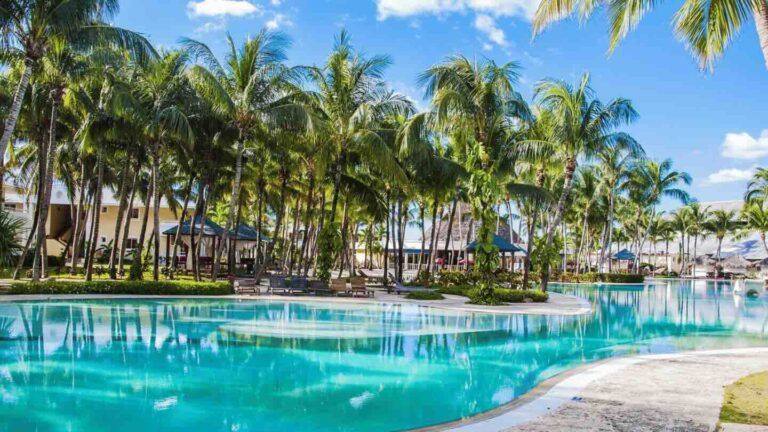 A large swimming pool surrounded by palm trees on a sunny day.