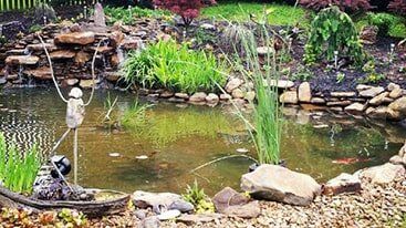 Pond maintenance - maintenance & cleaning in Knoxville, TN