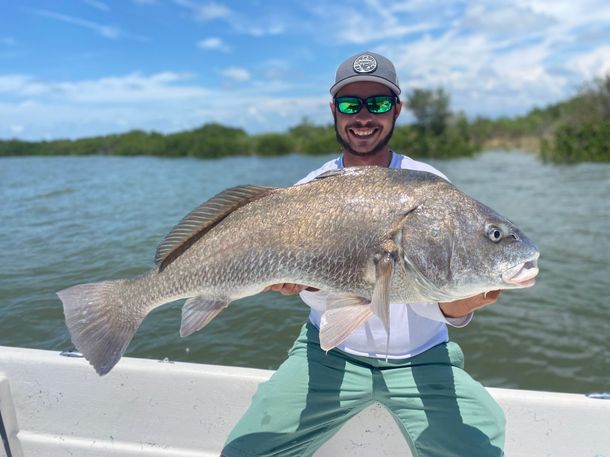 Big Fish From The Ocean — Crystal River, Fl — Crystal River