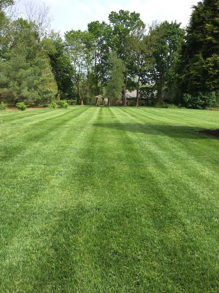 A lush green lawn with trees in the background.