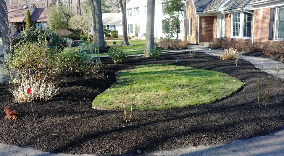 A lush green lawn is surrounded by black mulch in front of a house.