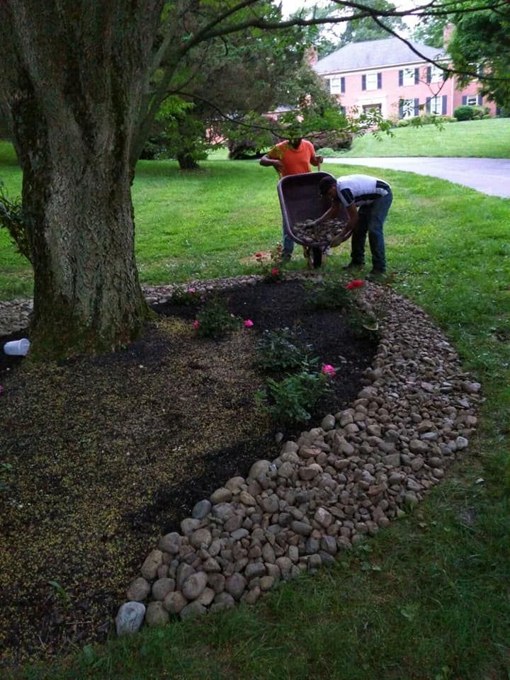 Two people are working in a garden with a wheelbarrow.