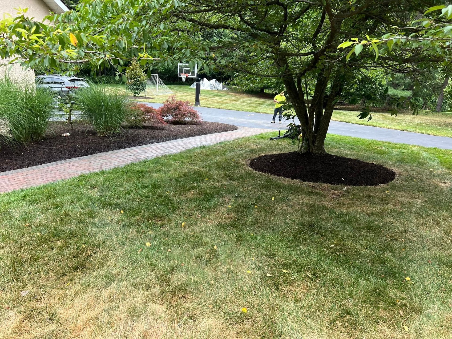 A lawn with a tree in the middle of it and a brick walkway.