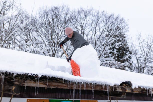 A person is pushing a snow blower through the snow.