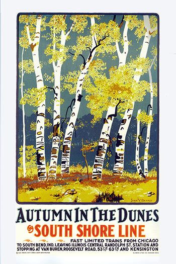 South Shore Poster - Autumn in the Dunes