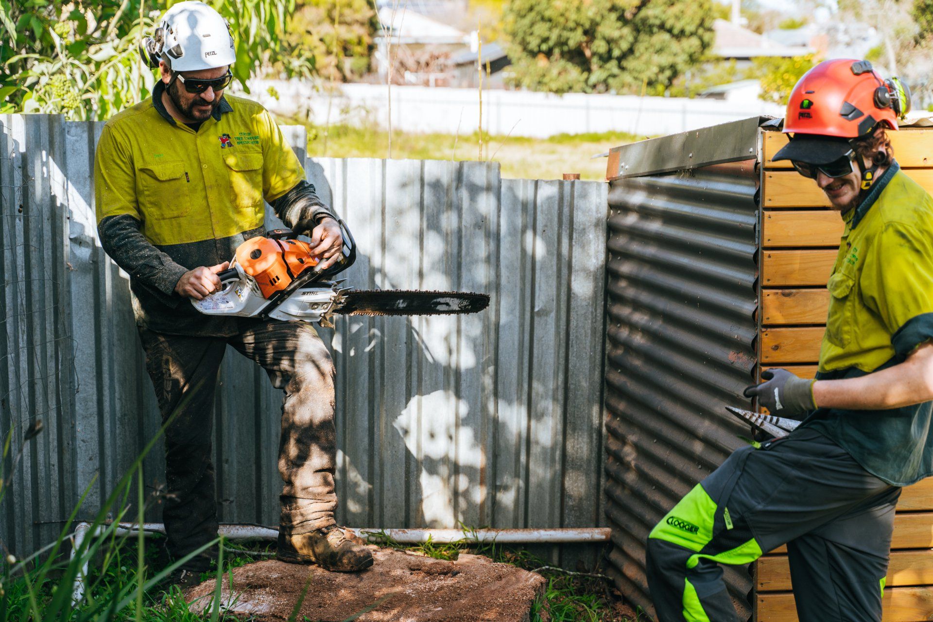 Man Cuts a Fallen Tree — Wodonga, VIC — Curtis Tree Lopping Specialists
