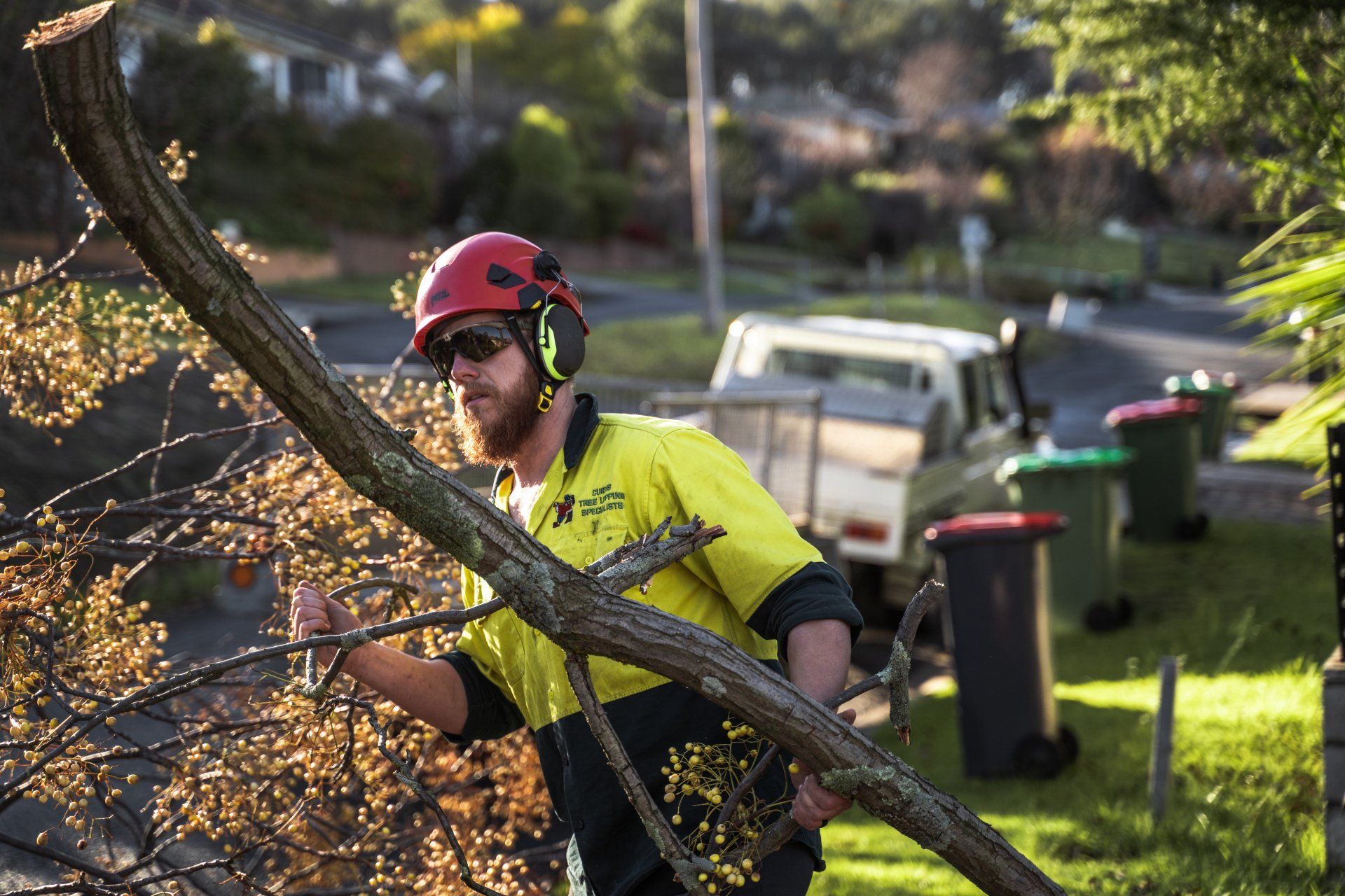Tree Pruning — Wodonga, VIC — Curtis Tree Lopping Specialists