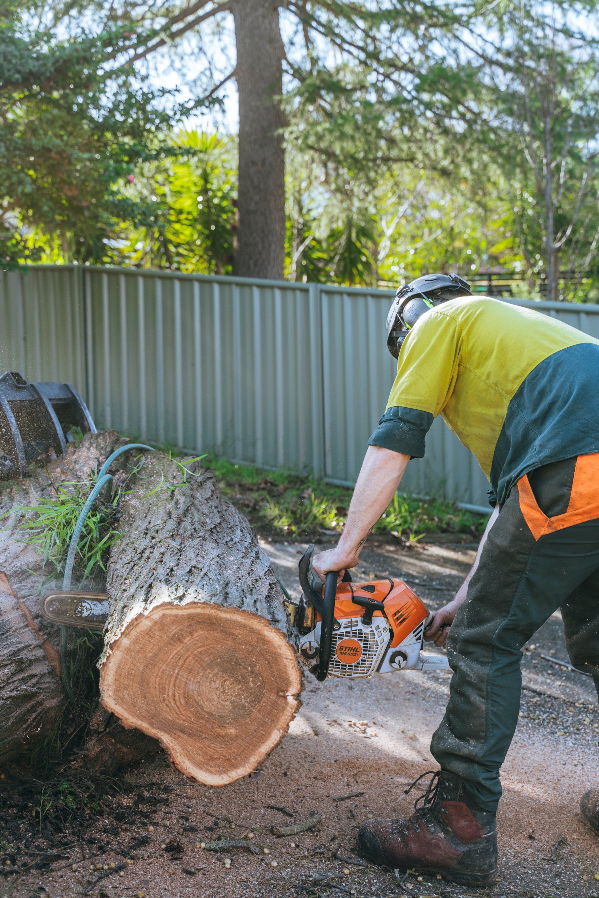 Man Cutting Tree Trunk — Wodonga, VIC — Curtis Tree Lopping Specialists
