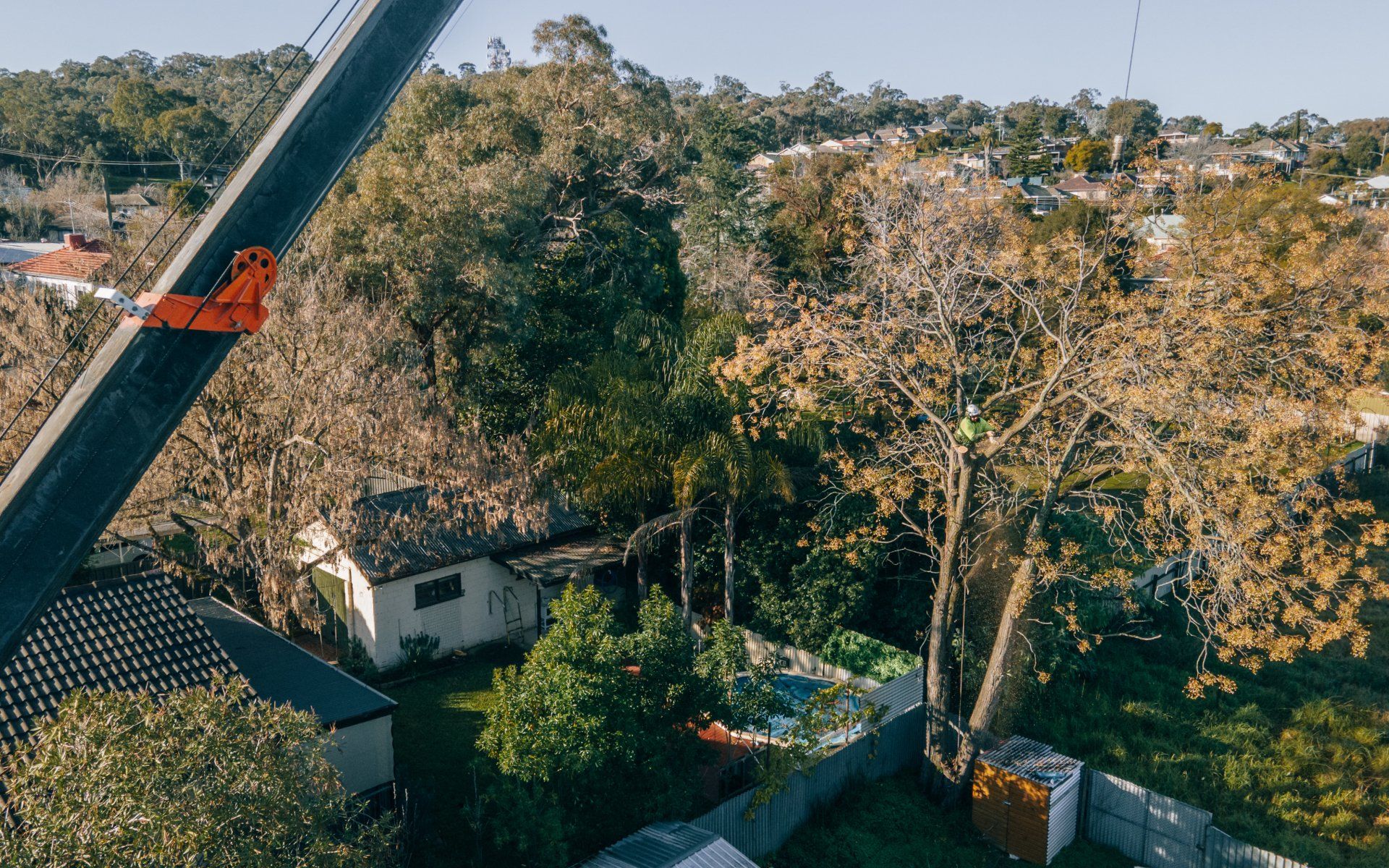 An aerial view of a crane cutting a tree in a backyard.