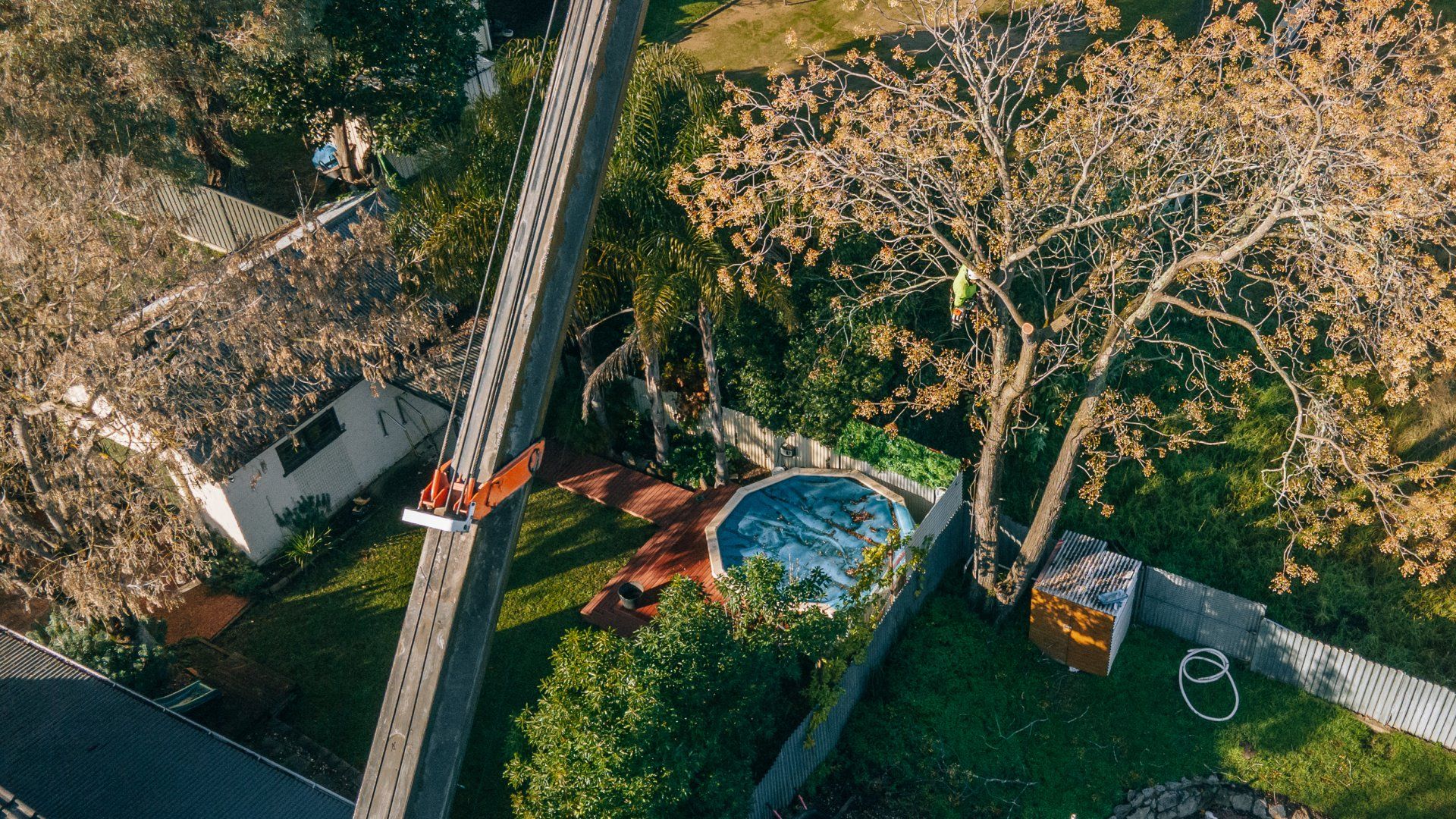 An aerial view of a roller coaster in a backyard.
