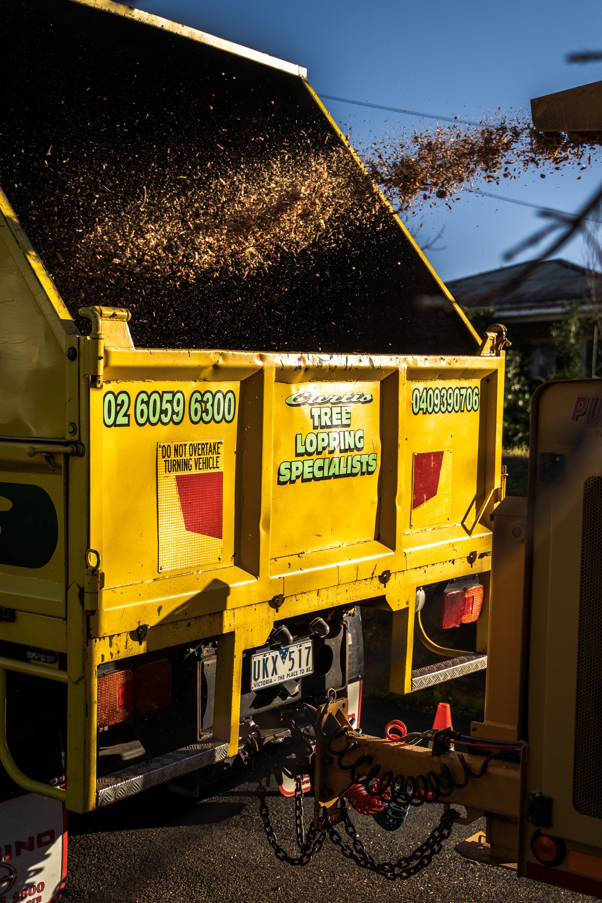 A yellow dump truck is filled with a lot of wood chips.