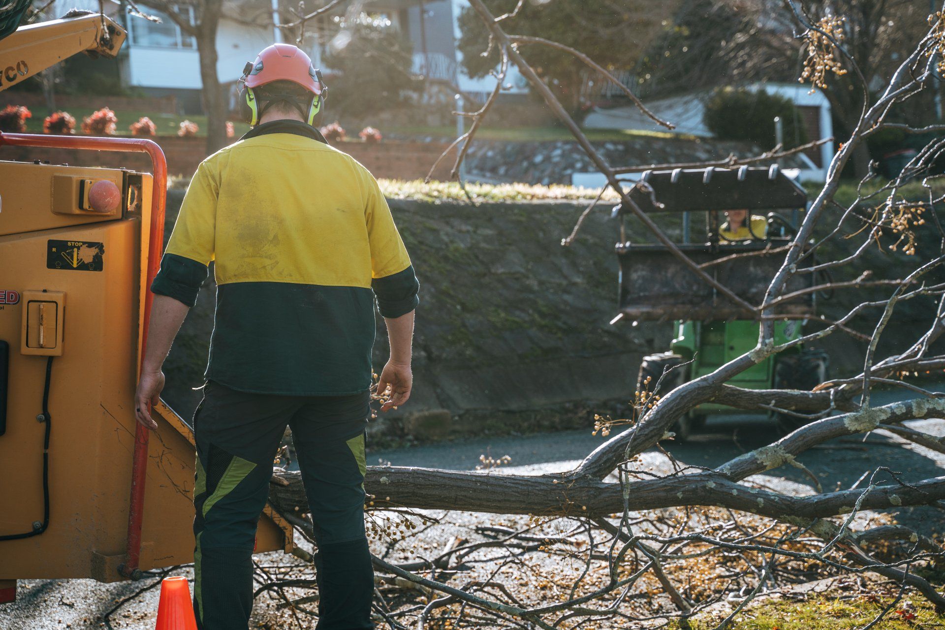 Cutting Tree Blocking the Road — Wodonga, VIC — Curtis Tree Lopping Specialists