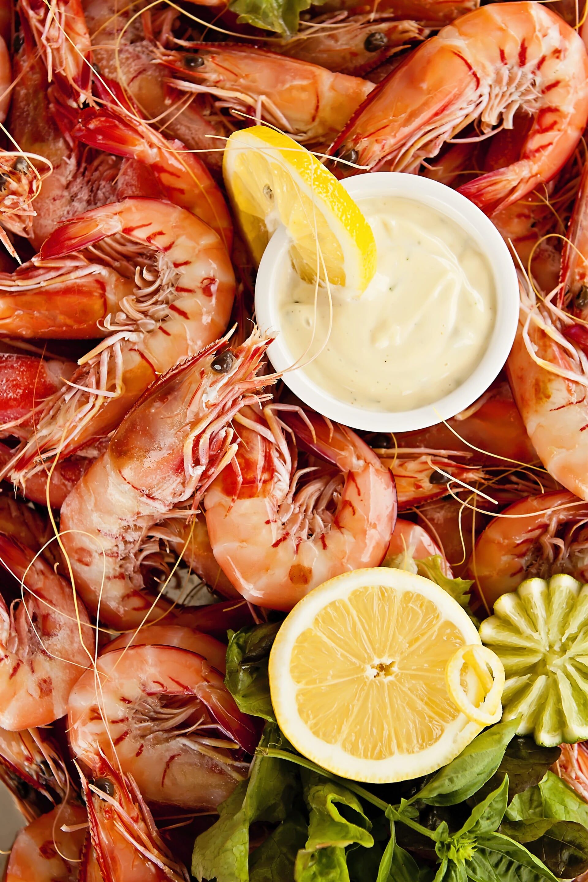 Fish and Shrimp — Fresh Seafood Townsville in Garbutt, QLD