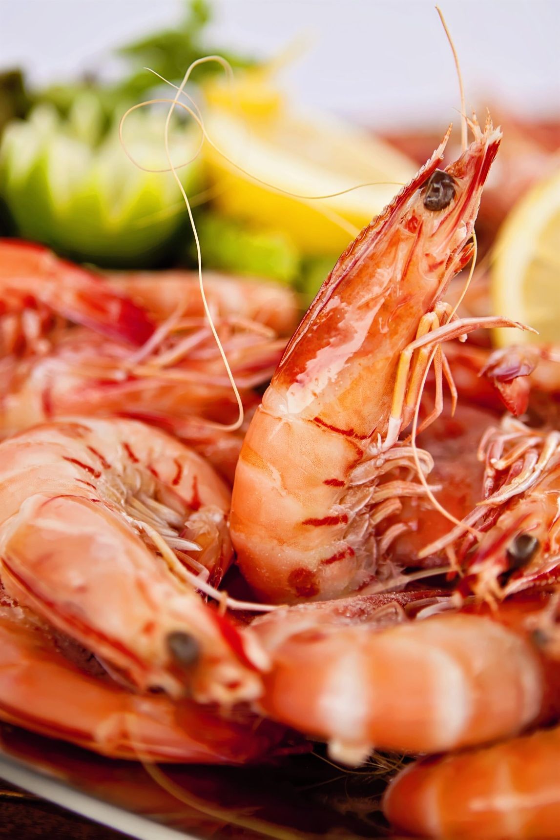 Wholesale Seafood Townsville Cleveland Bay Seafood