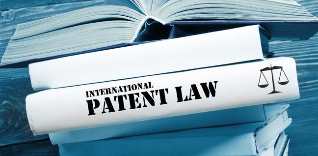 International Patent Lawyer NYC Francelina M. Perdomo Klukosky - Perdomo Law