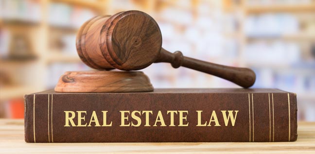 Real Estate Litigation Lawyer NYC - Fran Perdomo of Perdomo Law