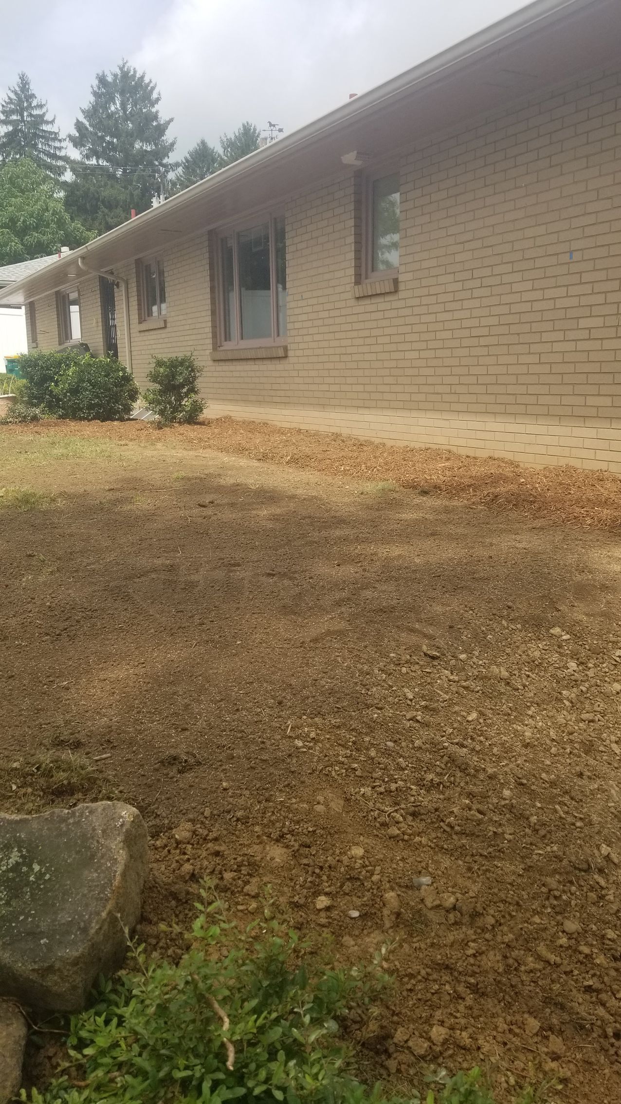 Brown brick house with dry grass in the front yard and a few bushes.