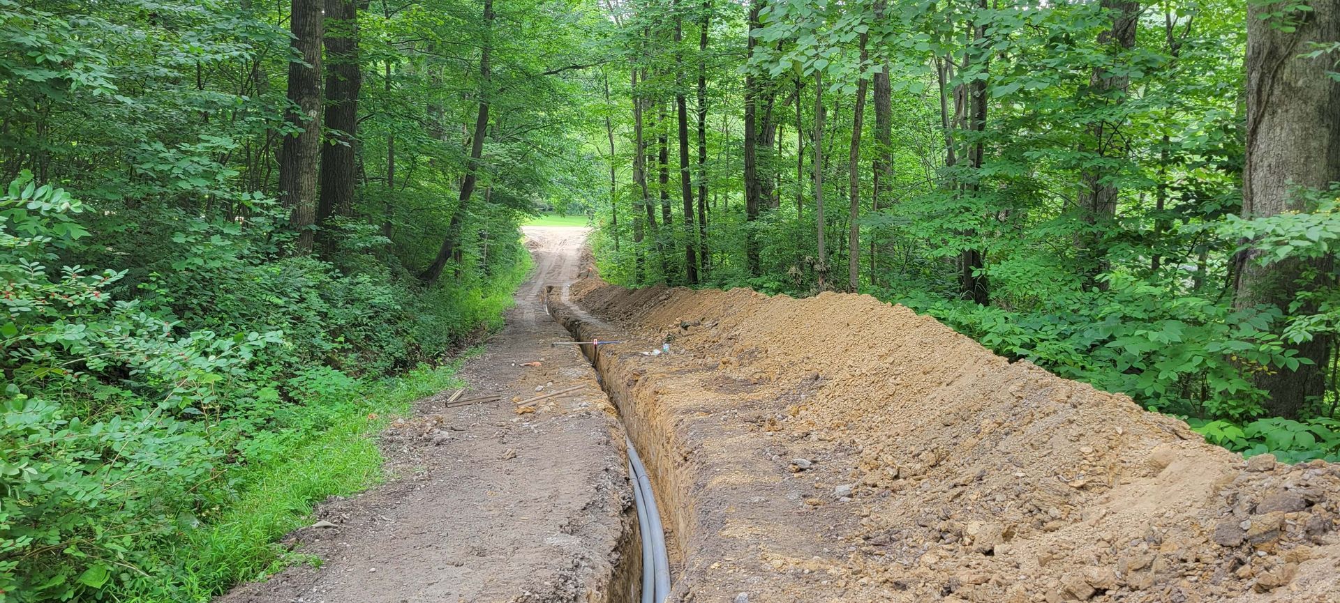 A dirt road in a forest with a trench cut down the middle, brown soil piled on the side.