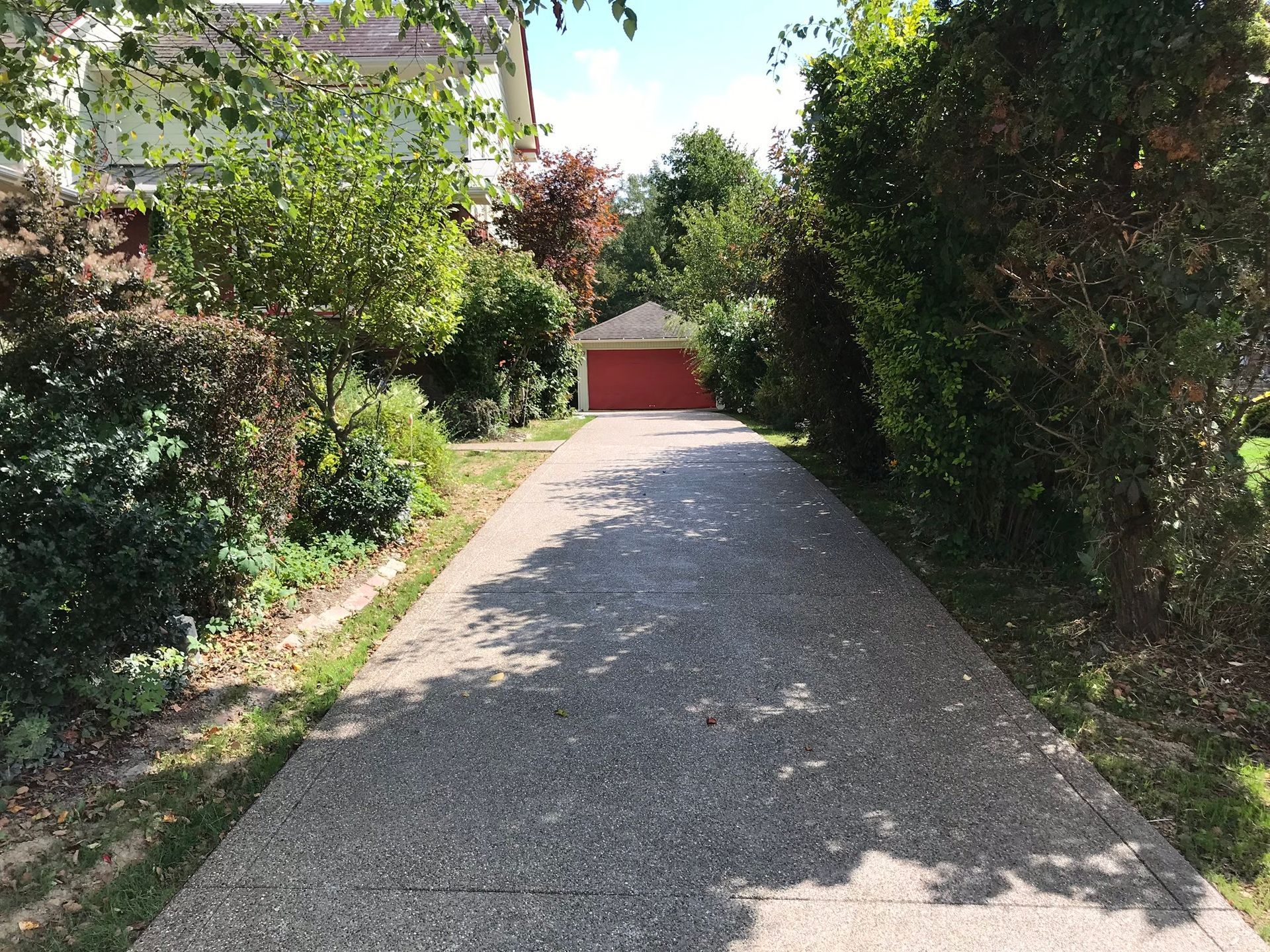 Concrete driveway leading to a red garage, flanked by green bushes and trees.