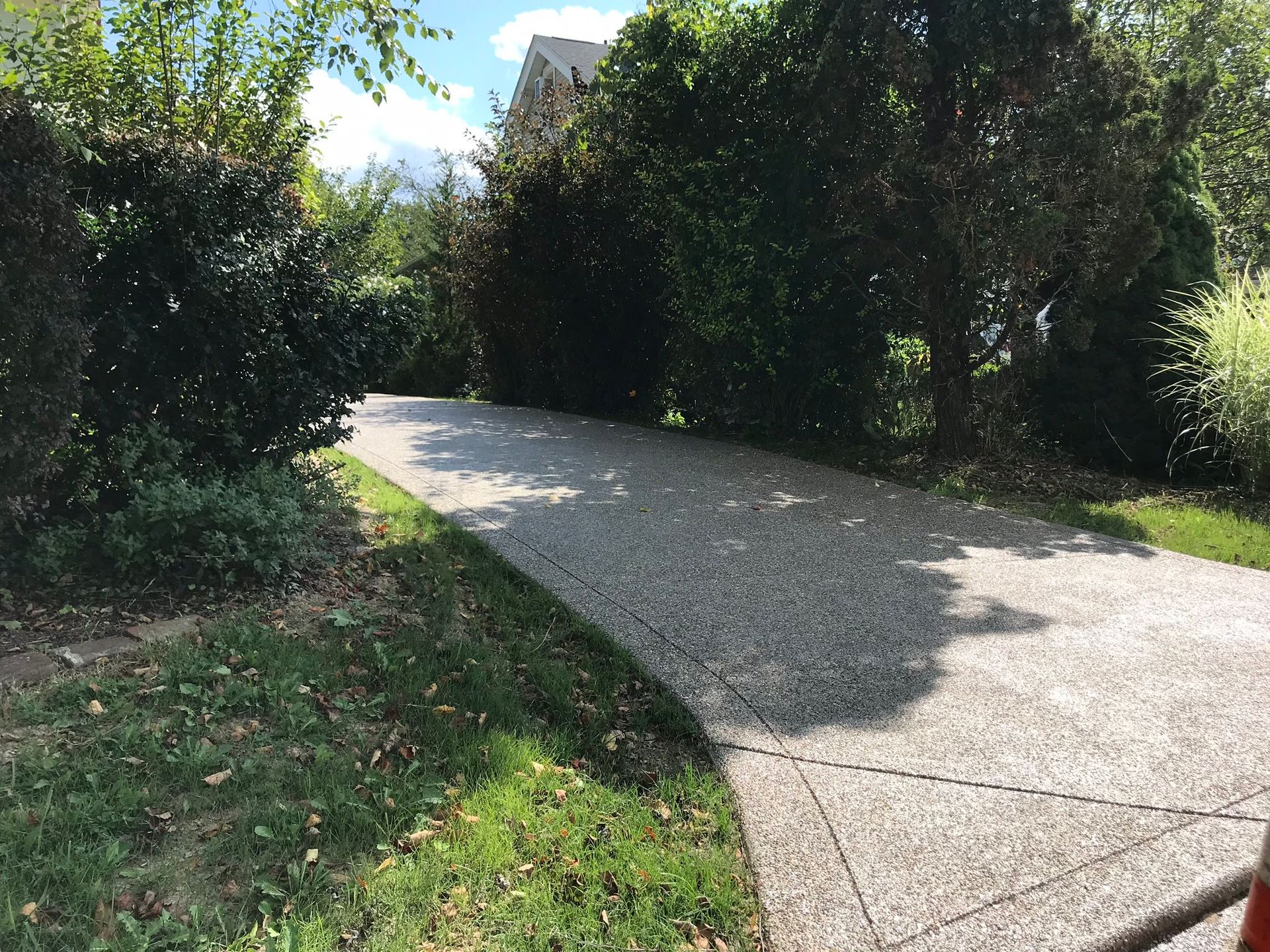 A gravel driveway lined with greenery, trees, and sunlight.