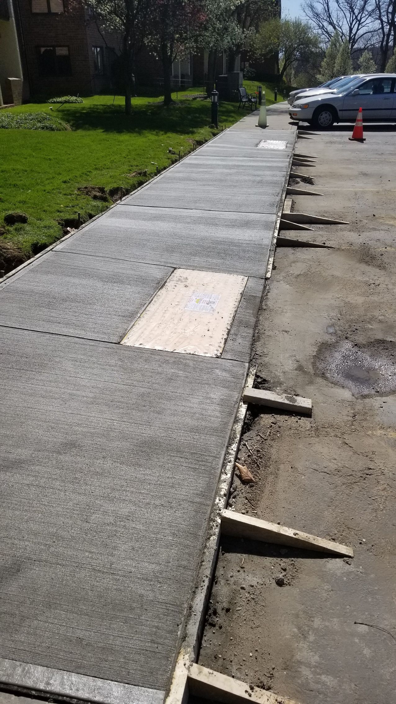 Newly poured concrete sidewalk with wooden forms next to a parking area.