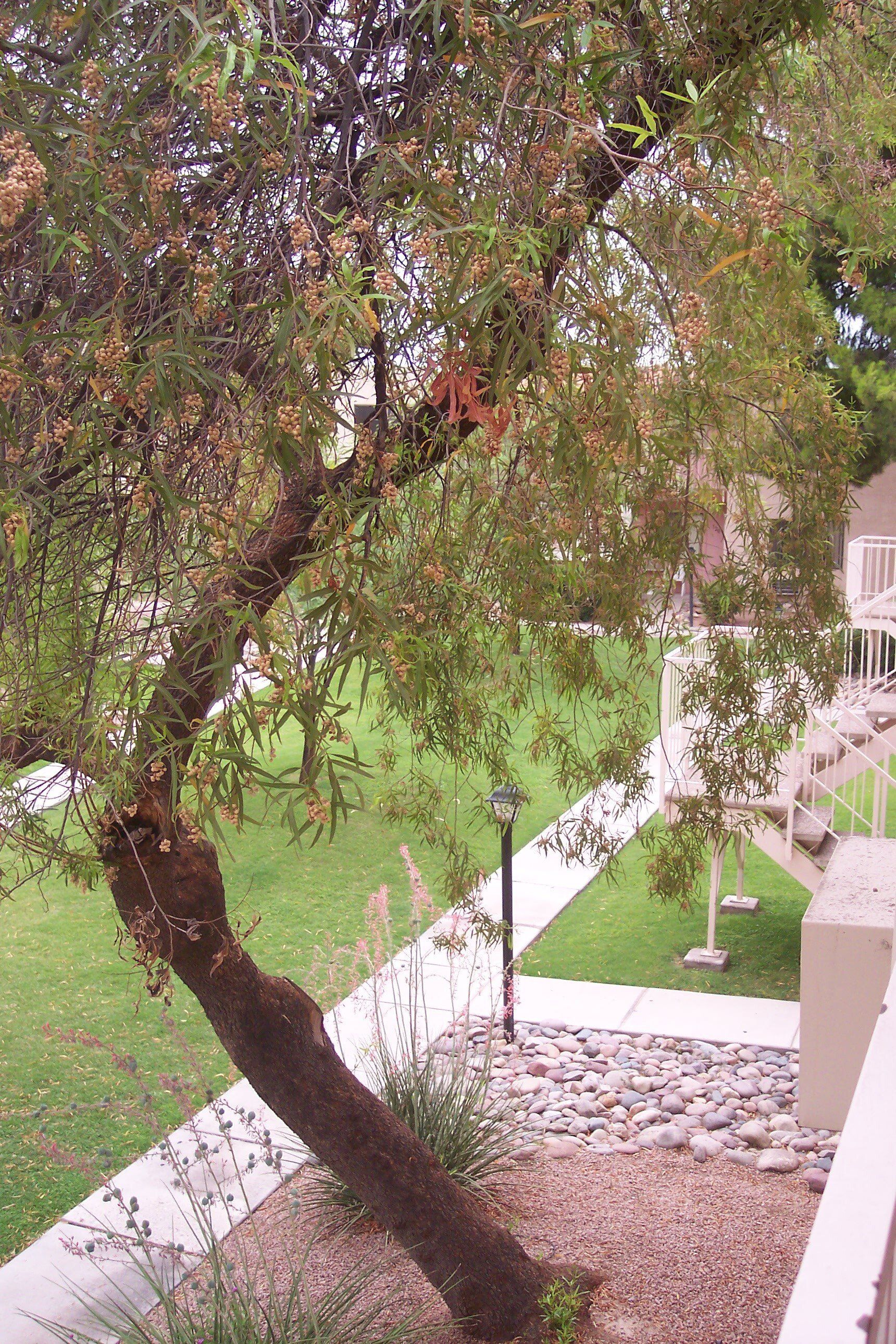 Villa Del Sol Exterior Photo